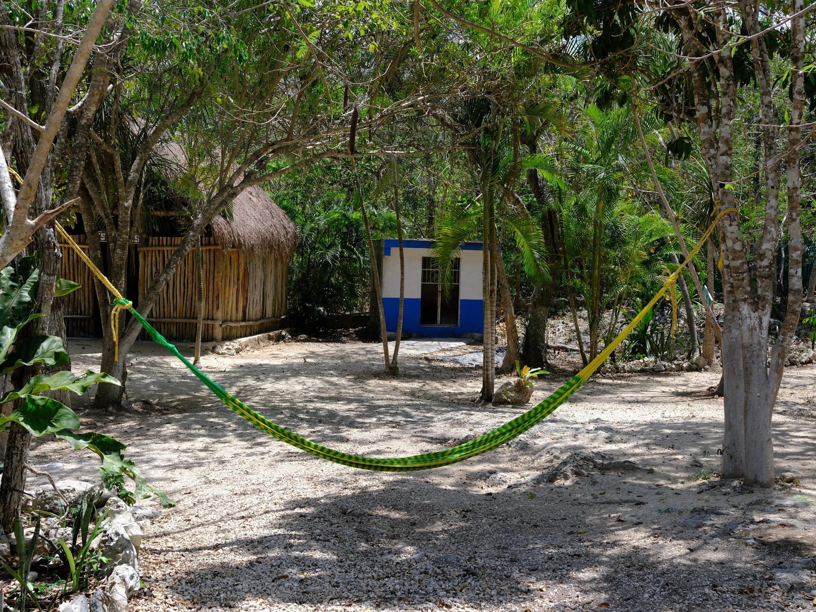 Shaded jungle rest area with a hammock near the cenote