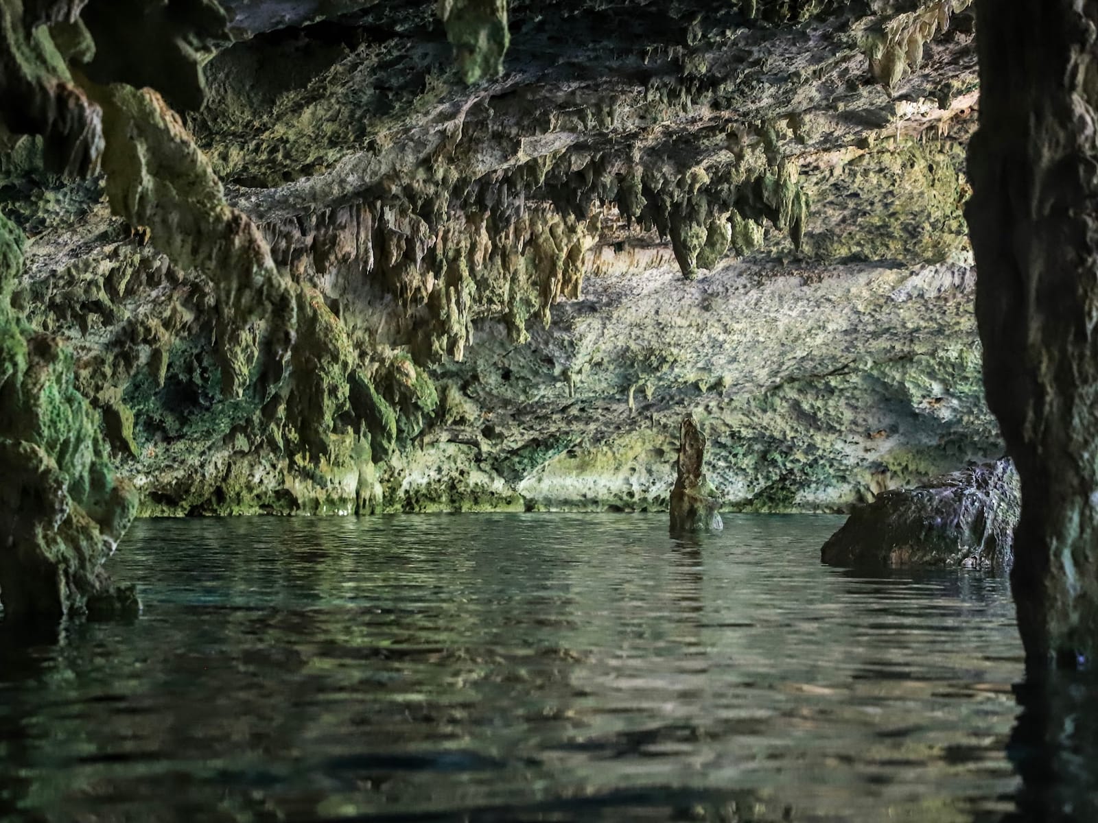 Green-tinged stalactites reflected in the still water of the Dos Ojos caverns