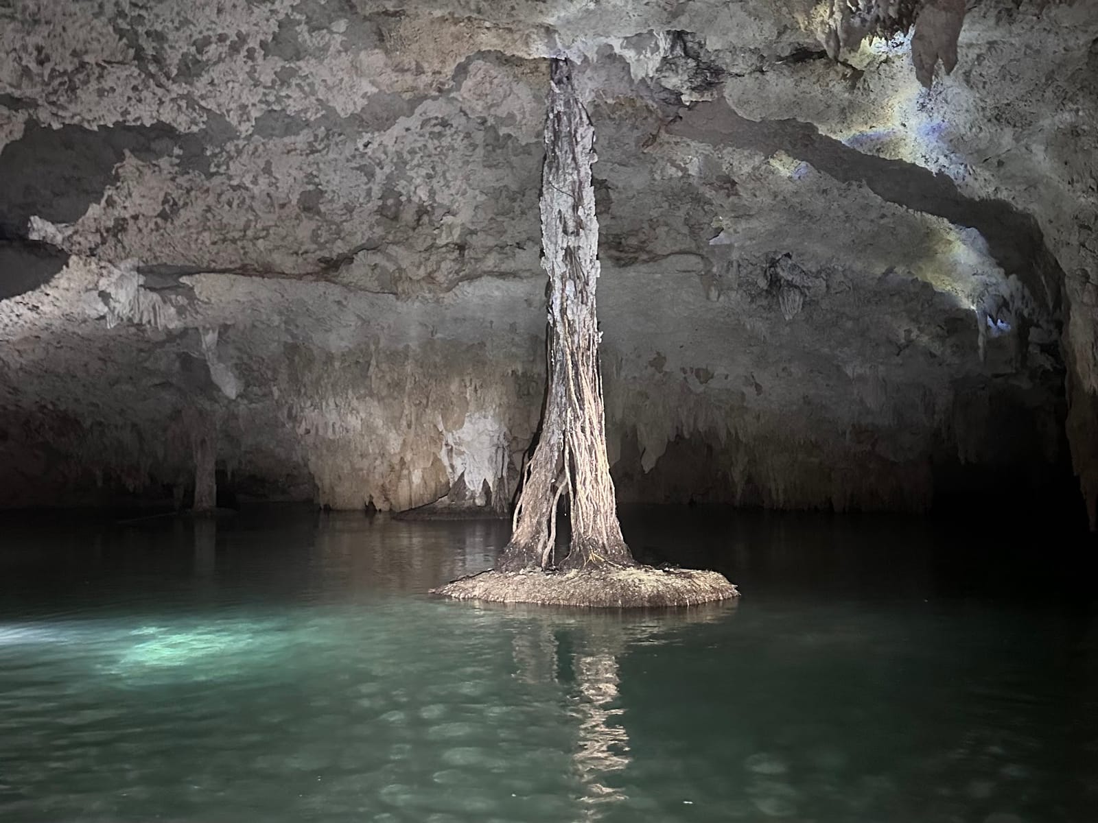 Tree roots hanging from the cavern ceiling down into clear water, Misterio Maya cenote