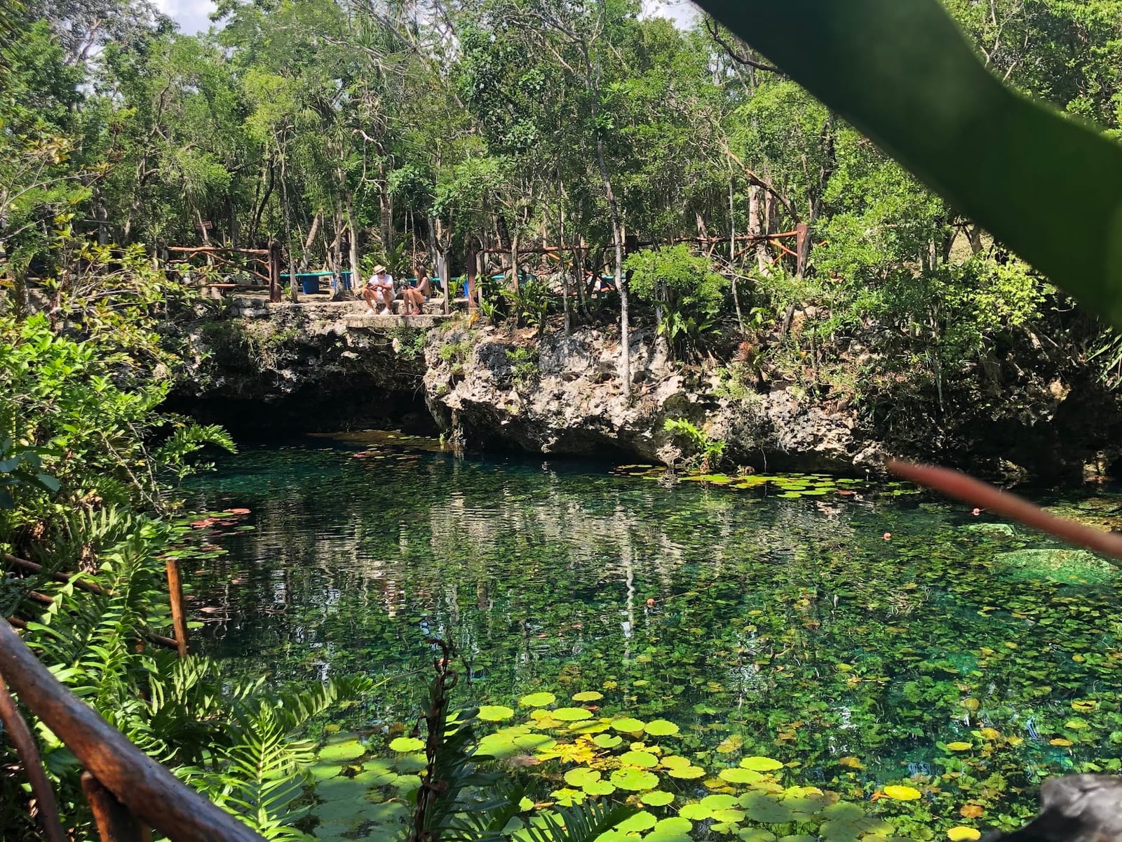 Visitors resting on the rocky edge of Nicte-Ha cenote among jungle and water lilies