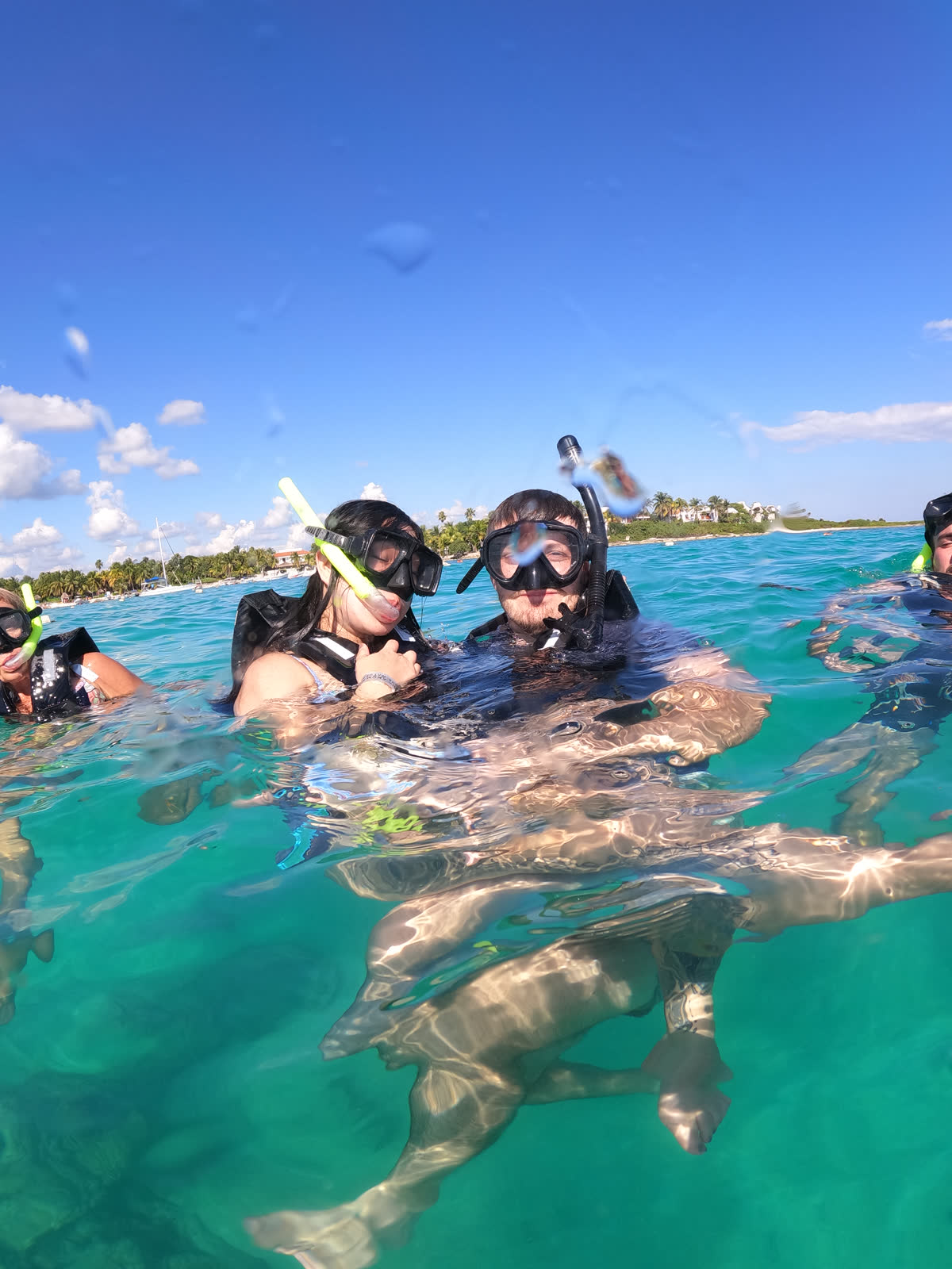 Sea turtle swimming alongside snorkelers in Akumal Bay Mexico