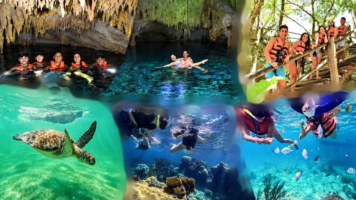 Turtle in Akumal, a swim in Cenote Dos Ojos and snorkeling in the cave