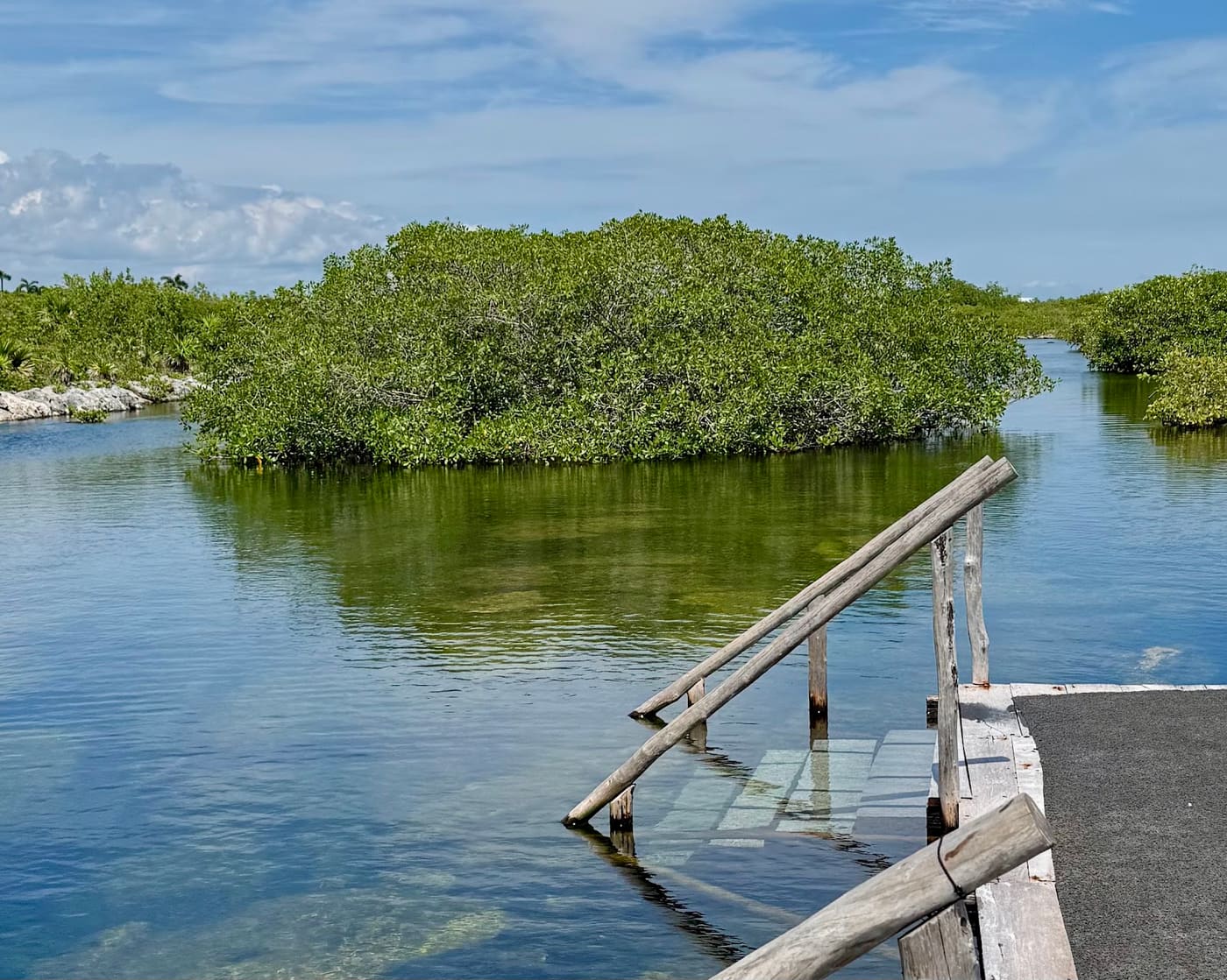Steps into the water facing a mangrove islet, where the guided snorkel at Yal-Kú begins