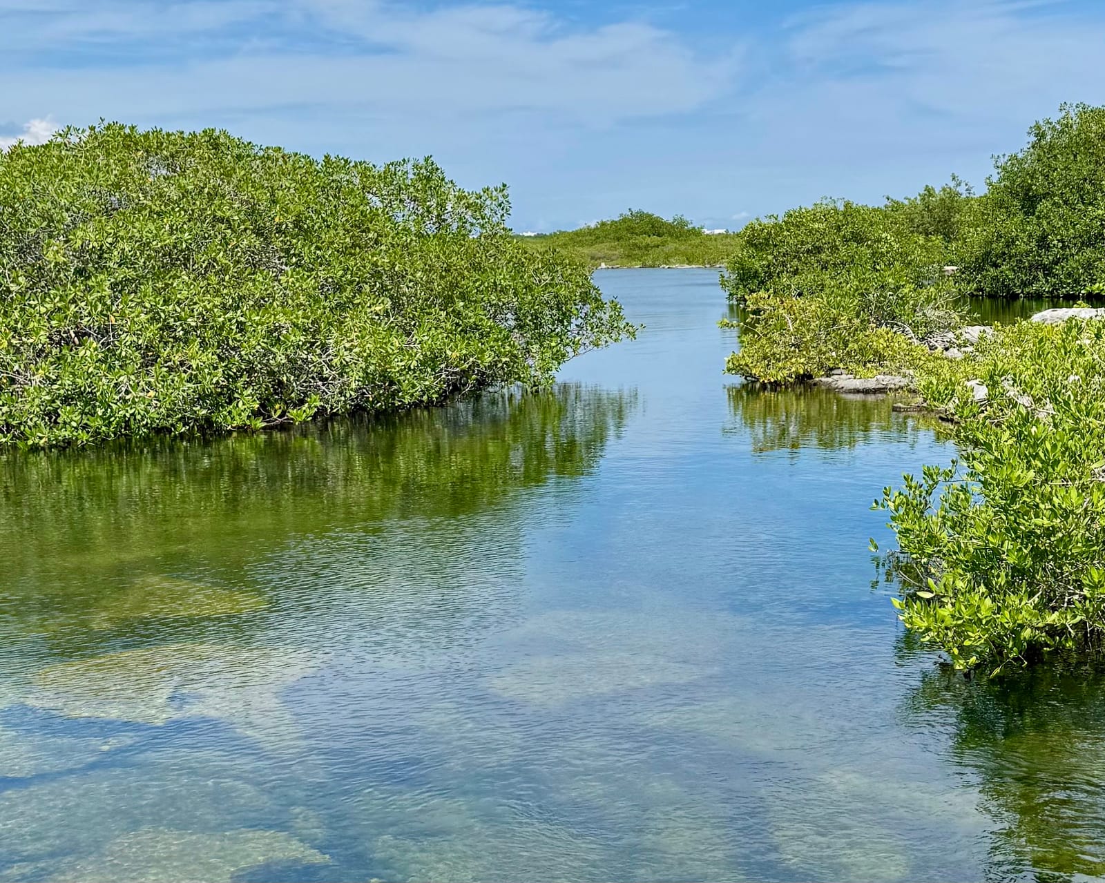 Clear-water channel winding between mangroves in Yal-Kú Lagoon, Akumal