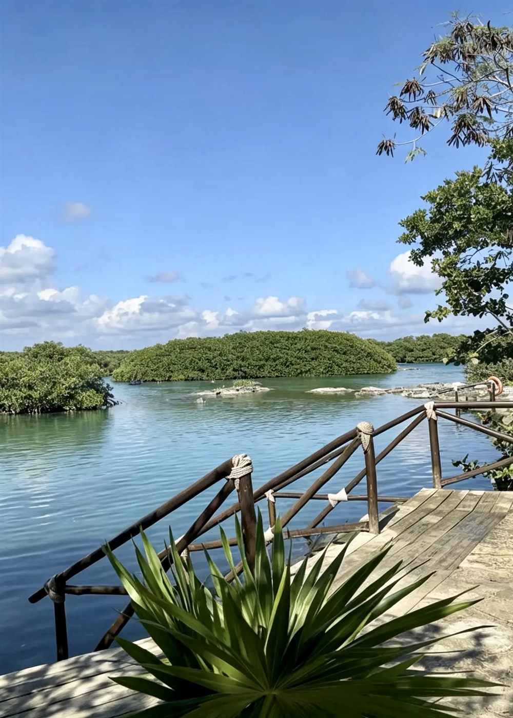 Wooden dock at Laguna Yalku entrance surrounded by mangroves and turquoise water, Akumal Mexico