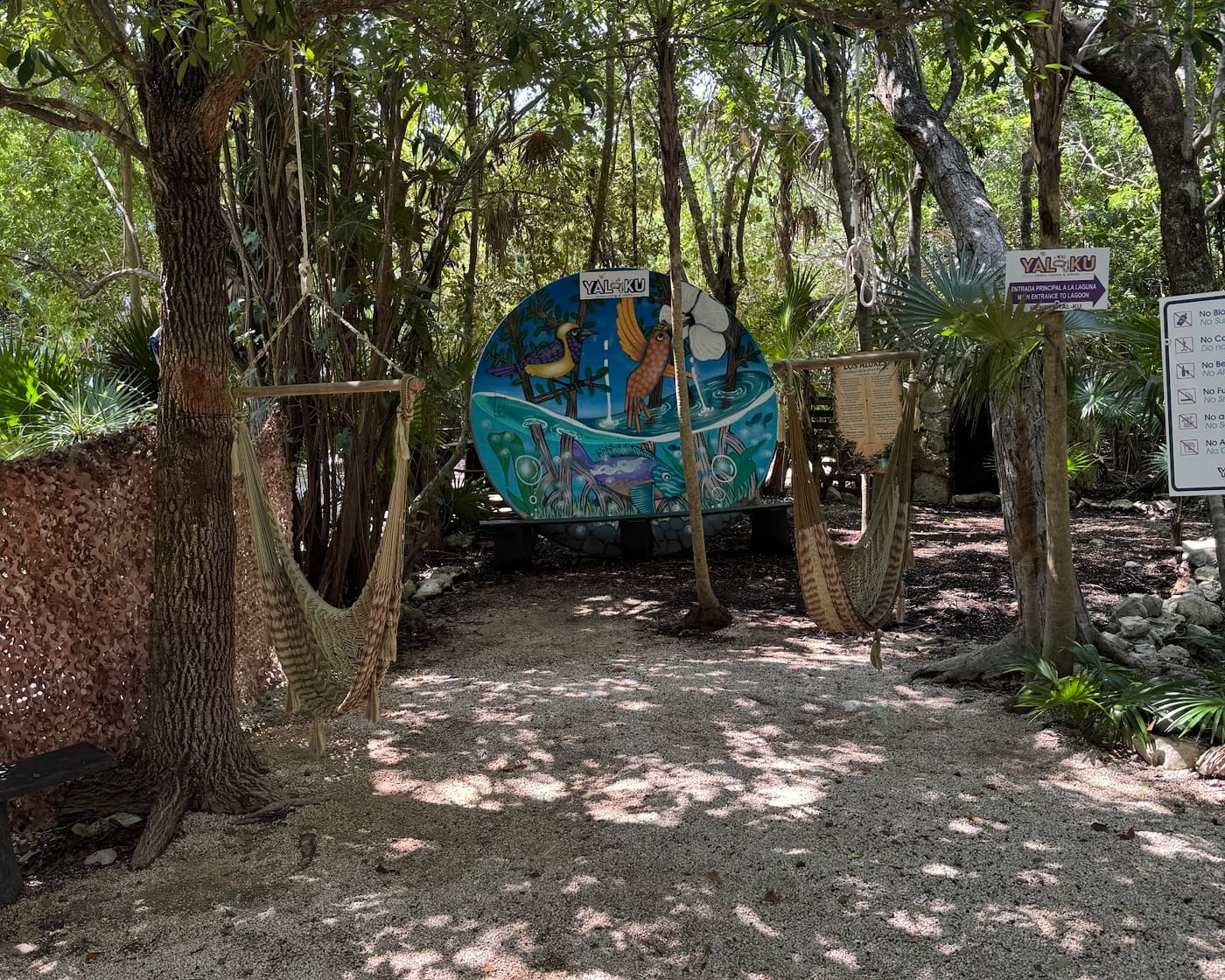 Shaded path with hammocks and a mural on the way to the lagoon entrance